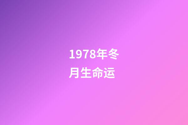 1978年冬月生命运 (1978年3月生命运)-第1张-观点-玄机派
